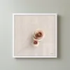ba-0050-two-linen-roses-framed-3-thin-closeup-white-v4 Two Linen Roses by Bassem, framed print on a wall