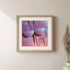 ba-0065-mauve-half-moons-print-1-closeup-oak-v6 Mauve Half Moons by Bassem, art print shown framed on a wall
