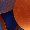 Little Orange Tree by Bassem, detail at close range
