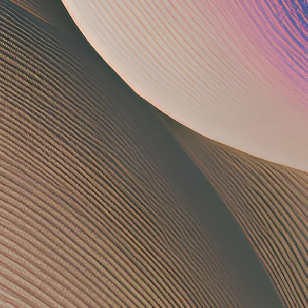 Shell Curves in Blush by Bassem, detail at close range