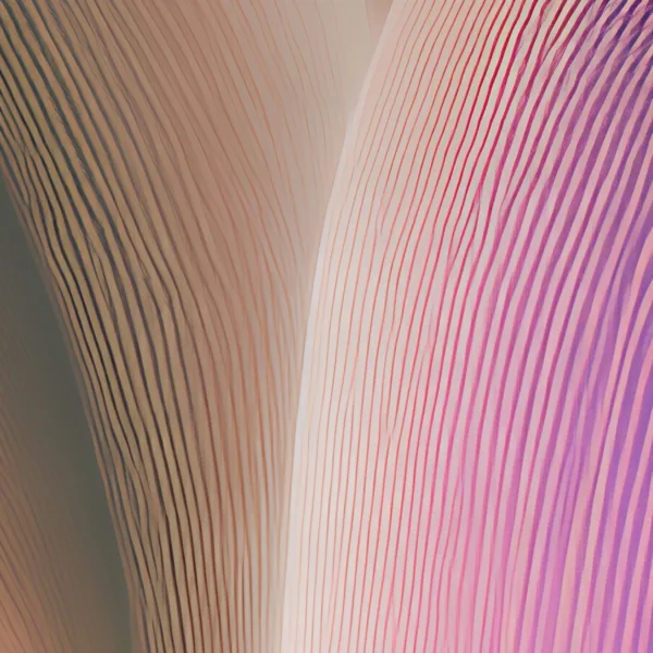 ba-0103-shell-curves-in-blush-print-4-detail-v6 Shell Curves in Blush by Bassem, detail at close range