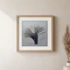 ba-0120-silver-fan-print-1-closeup-oak-v6 Silver Fan by Bassem, art print shown framed on a wall
