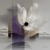 ba-0166-dark-eyed-bloom-art-v2 Dark-Eyed Bloom by Bassem, the full artwork