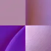 Violet Quarter Moons by Bassem, detail at close range