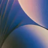 Pink Arches in Shadow by Bassem, detail at close range