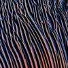 ba-0200-orbiting-ripples-canvas-4-detail-v4 Orbiting Ripples by Bassem, detail at close range