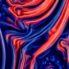 Shells and Swirls by Bassem, detail at close range