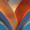Winged Crest by Bassem, detail at close range