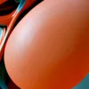 ba-0244-nested-coral-orbs-print-4-detail-v4 Nested Coral Orbs by Bassem, detail at close range