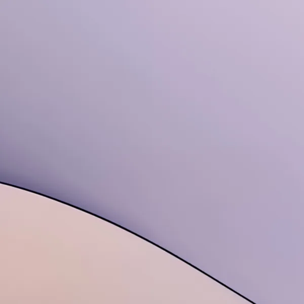 Lone Lily in Lilac by Bassem, detail at close range