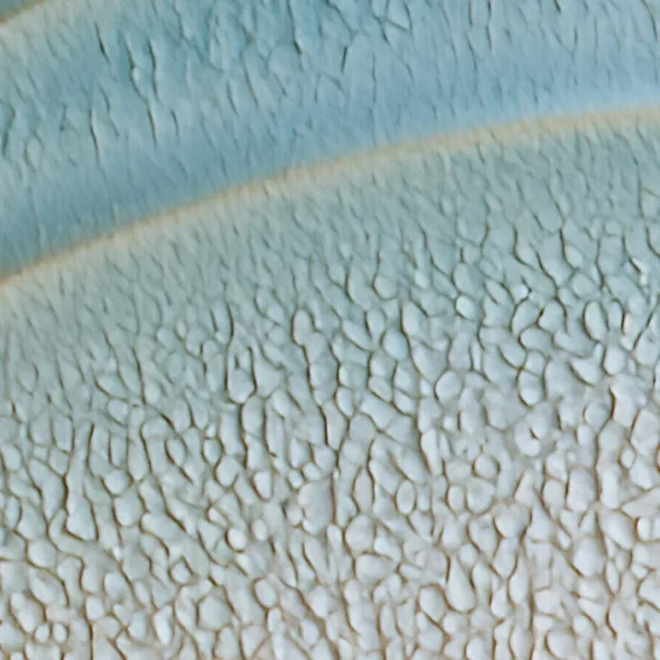 Curves of Sea Glass by Bassem, detail at close range