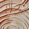 The Pale Needle by Bassem, detail at close range